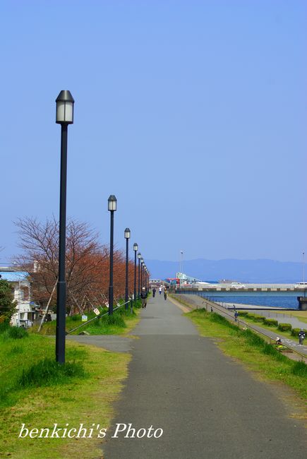 春の散歩道01.jpg