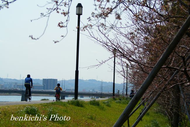春の散歩道03.jpg